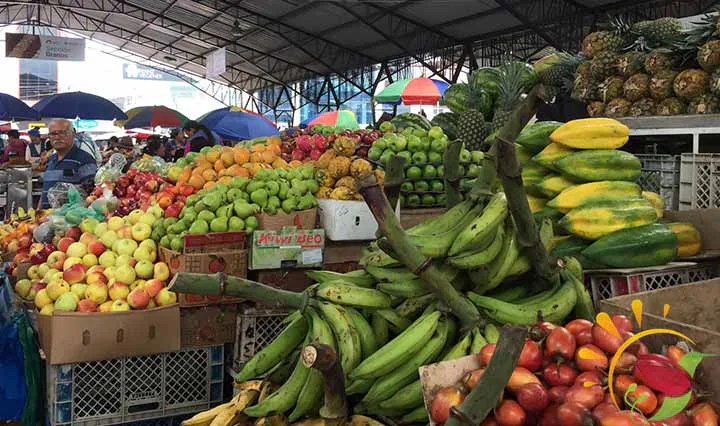 Mercado San Alfonso in Riobamba