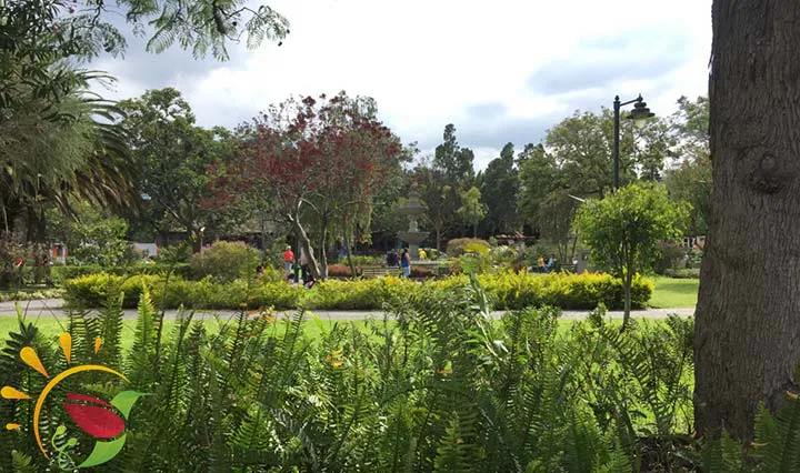 Park in Cumbayá