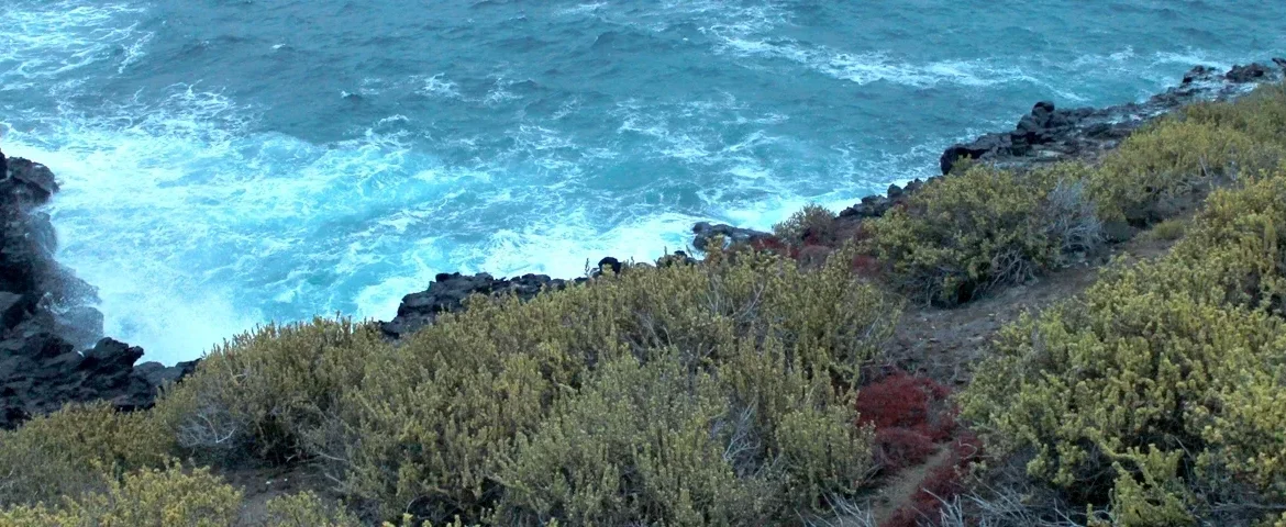 pitt point insel san cristobal(1) banner