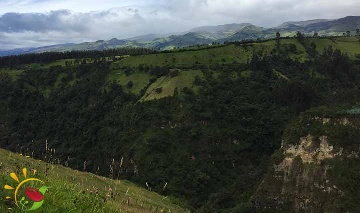 Schlucht bei den Cascadas de Rumibosque