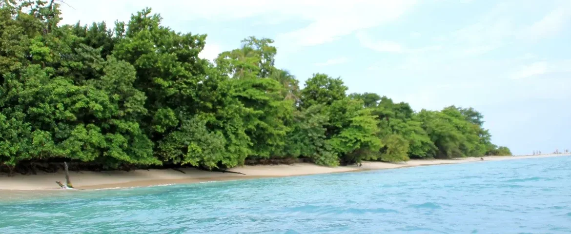 strand bocas del toro panama banner