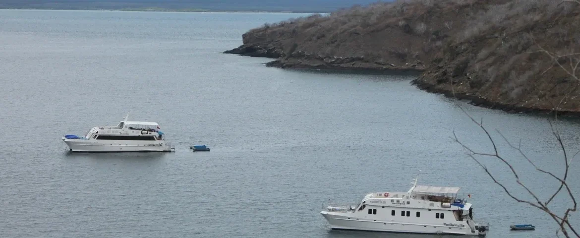 tagus cove galapagos banner