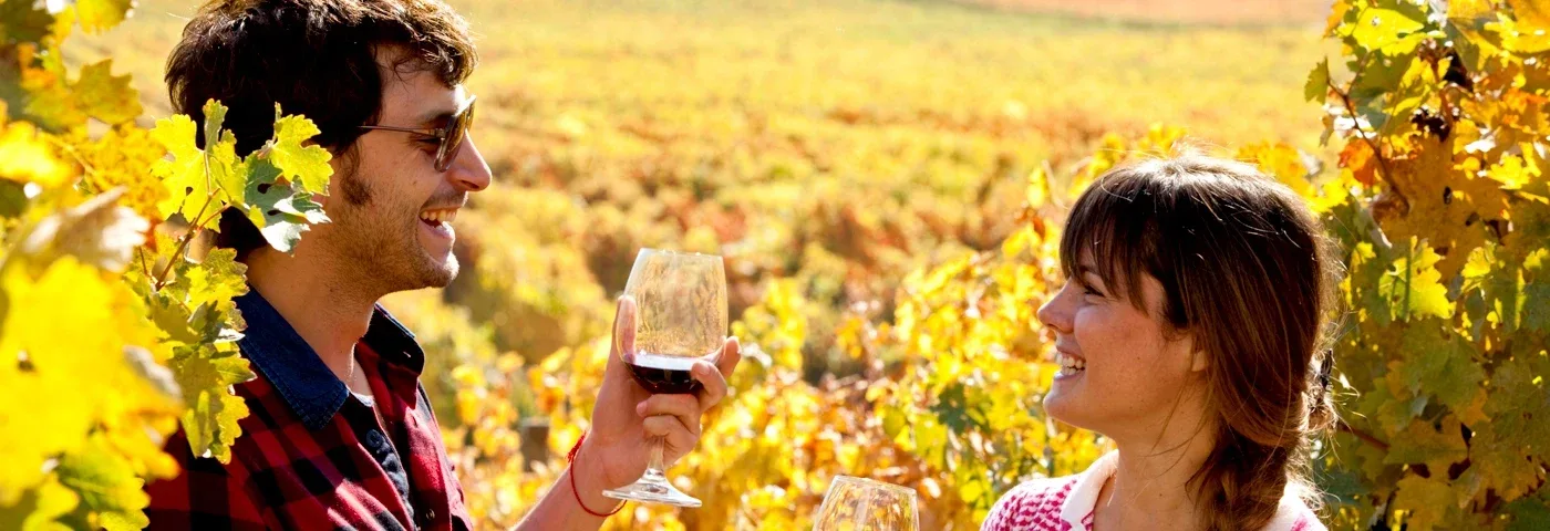 wein rundreise chile banner