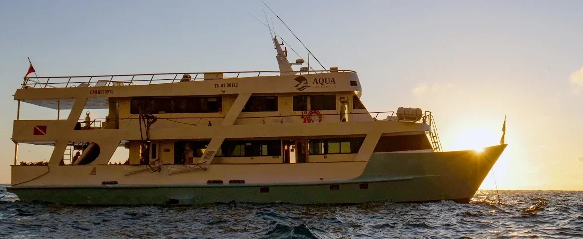 yacht aqua sonnenuntergang banner