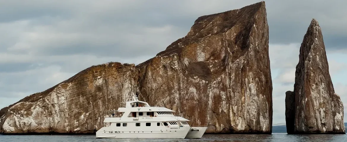yacht seaman journey kicker rock banner