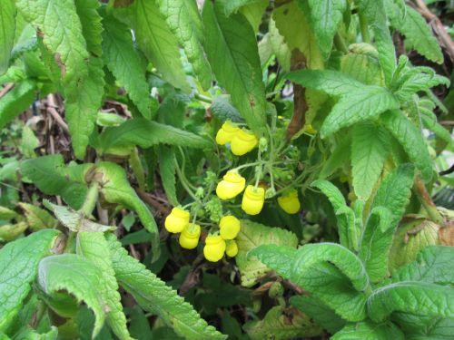Yaku Museum in Quito, Ecuador Yaku Museum in Quito, Ecuador
